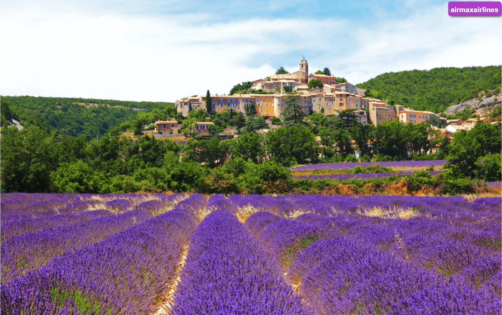 Lavender Fields in Provence, France